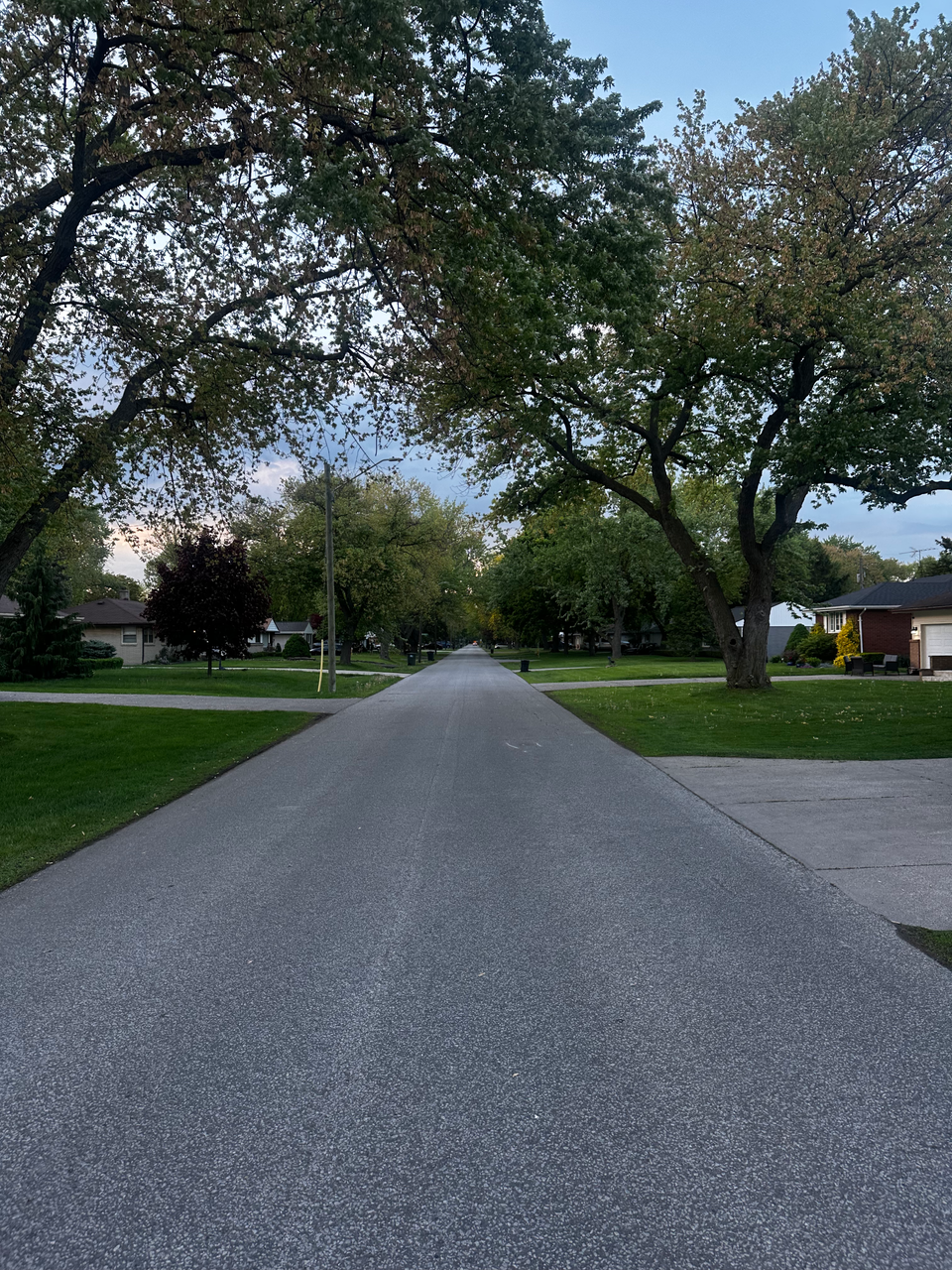 Best Shoes in My Rotation for Tired Legs and Recovery Runs